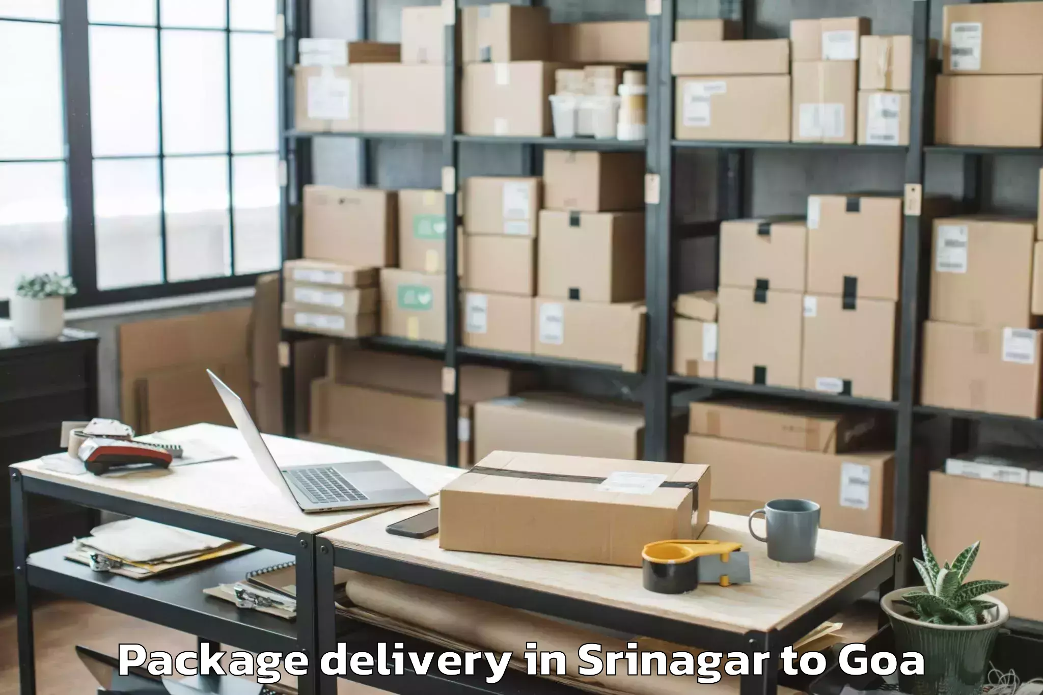 Leading Srinagar to Quepem Package Delivery Provider